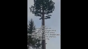 Pylône camouflé