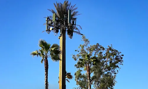 Pylône de télécommunications camouflé (pylône palmier)