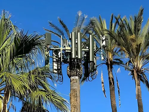Pylône palmier installé dans un parc public